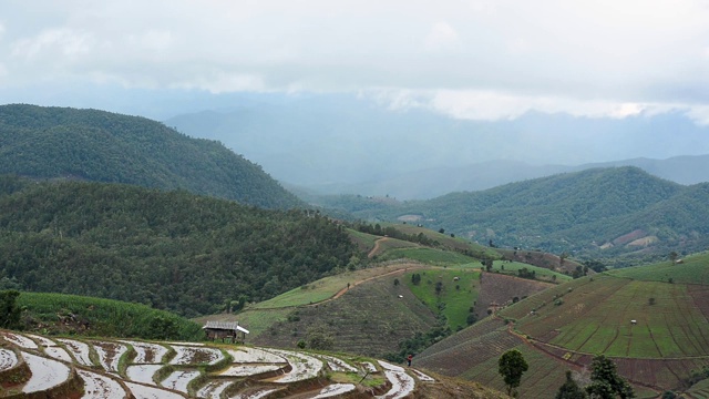 在泰国清迈北部的Pa Pong Piang，云的移动和美丽的水稻梯田之上的时间流逝视频素材
