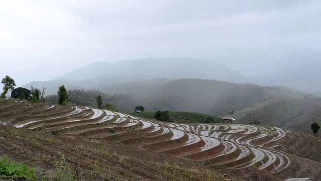 在泰国清迈北部的Pa Pong Piang，云的移动和美丽的水稻梯田之上的时间流逝视频素材