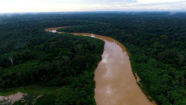 亚马逊河鸟瞰图视频下载