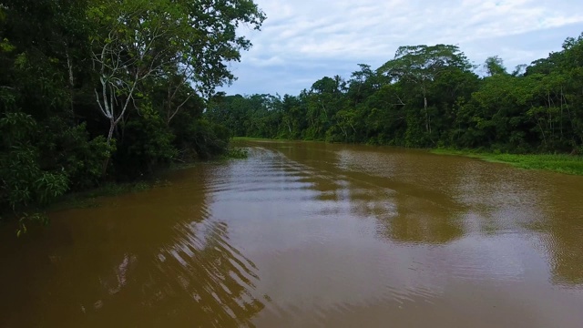 亚马逊河鸟瞰图视频下载