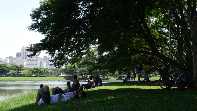 公园里宁静的景色，夏日的时光视频下载