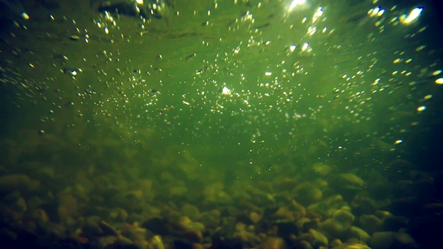 水下风景。绿色的水和气泡视频素材
