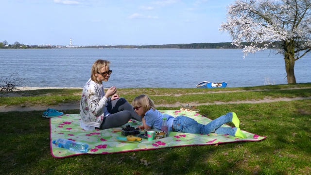母亲和儿子正在湖边野餐。视频下载