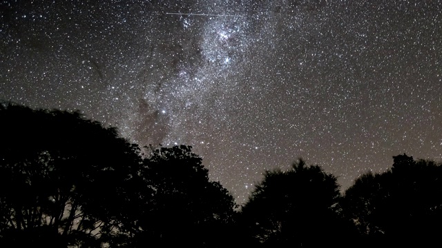 银河系星星在树木森林的剪影在黑暗的星空天文时间流逝视频素材