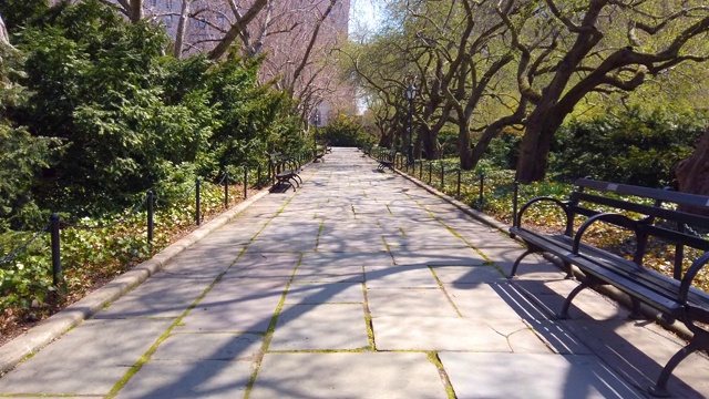 曼哈顿的中央公园视频下载