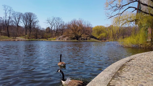 中央公园水库，曼哈顿，纽约，美国视频素材
