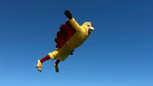 小鸡飞向天空，慢镜头视频下载