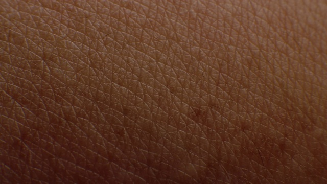 人体皮肤的特写微距视频下载