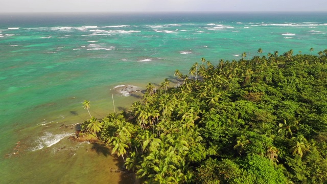 空中向前/上升:绿色，蓝色的海洋，在阳光明媚，有风的一天，棕榈树森林-小玉米岛，尼加拉瓜视频下载