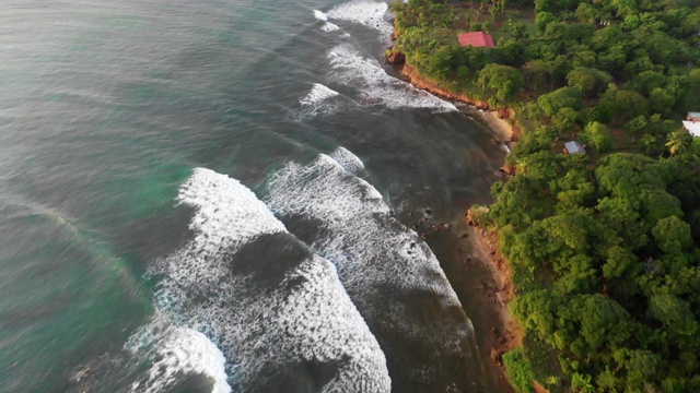 空中盘旋:被明亮的蓝色海洋包围的森林覆盖的岛屿-尼加拉瓜的小玉米岛视频下载