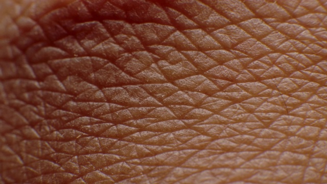 人体皮肤的特写微距视频素材