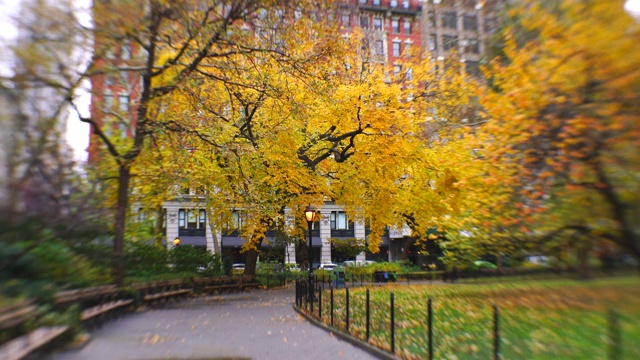 11月17日，在美国纽约麦迪逊广场公园，彩色树木环绕人行道。视频下载