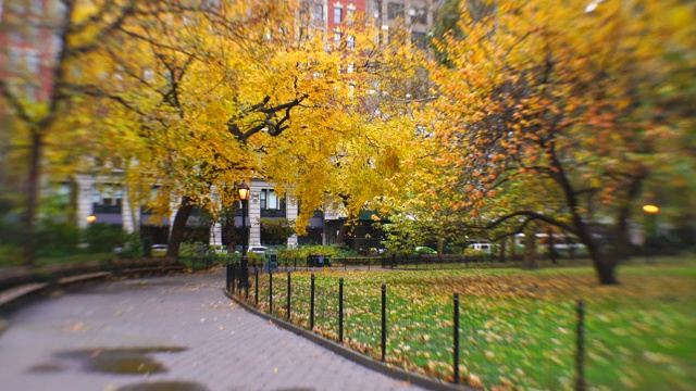 11月17日，在美国纽约麦迪逊广场公园，彩色树木环绕人行道。视频下载
