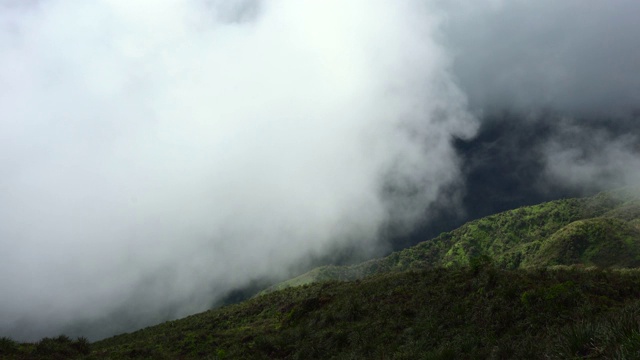 热带森林山坡，山谷上方有流动的云视频素材