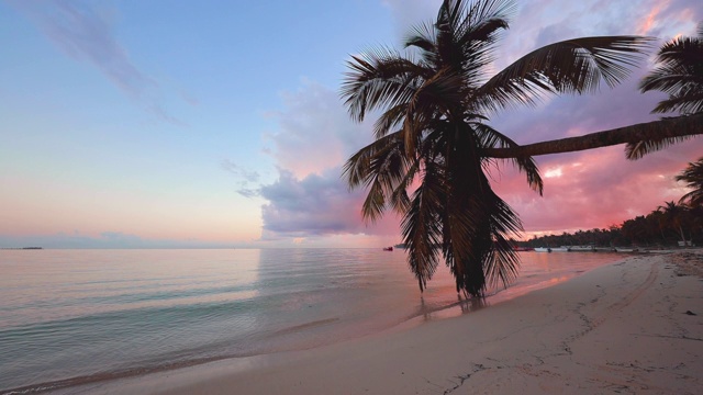 异国情调的海滩。椰子树映衬着日出的热带天空和云彩。暑假去热带地区。视频素材