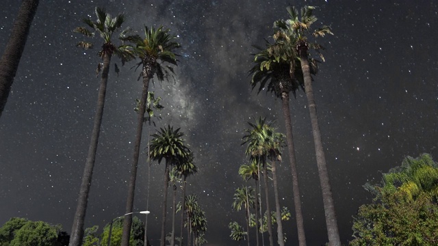 比弗利山大道棕榈树上的夜空银河视频下载