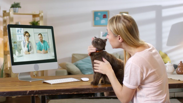 在线兽医通过视频电话给猫主人建议视频素材