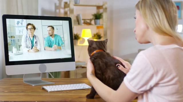 一名女子向网络兽医展示猫咪并寻求建议视频素材