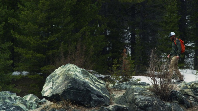 一名二十多岁、留着胡子的白人男子背着背包，在科罗拉多州落基山脉森林的大石头上徒步行走视频素材
