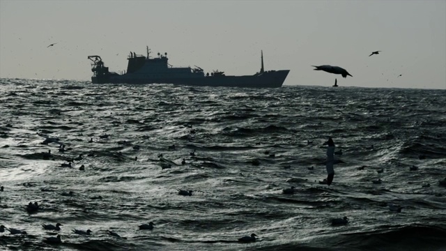 渔船在波涛汹涌的海面上捕鱼视频素材