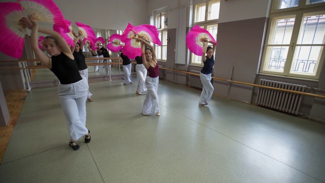 一群年轻的芭蕾舞演员在表演他们的表演视频下载