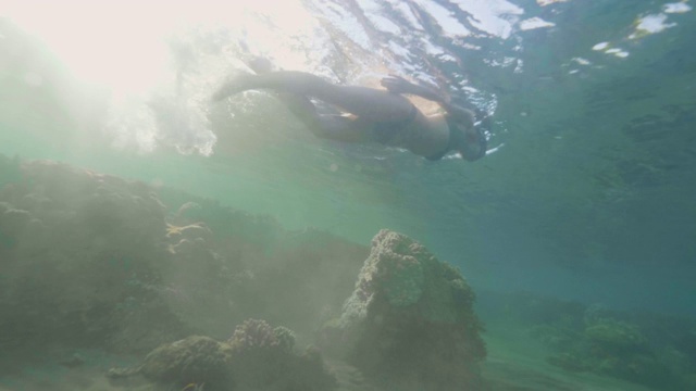 美丽的女人在阳光的背景下在水下游泳眼镜。女人浮潜在玻璃珊瑚礁和海水中的海鱼。视频素材