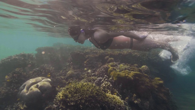年轻女子戴着眼镜在透明的海水中潜水，越过珊瑚礁。女人浮潜在清澈的水和看海底的珊瑚礁。视频素材