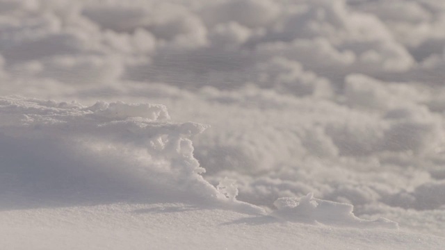 加拿大苔原上的风吹雪视频素材