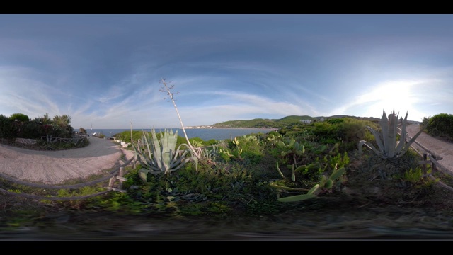 360 VR /仙人掌在巴亚圣尼古拉湾在亚得里亚海视频下载