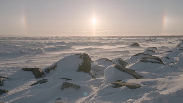 加拿大苔原上的风吹雪视频下载