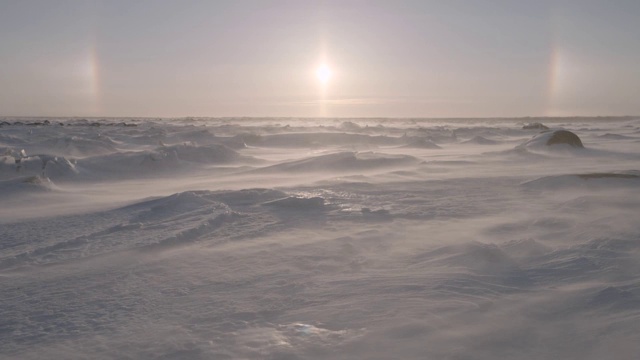 加拿大苔原上的风吹雪视频下载