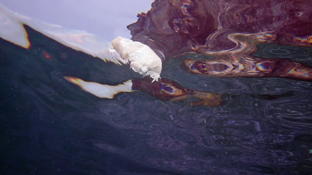 塑料在海洋环境破坏水下视图视频素材