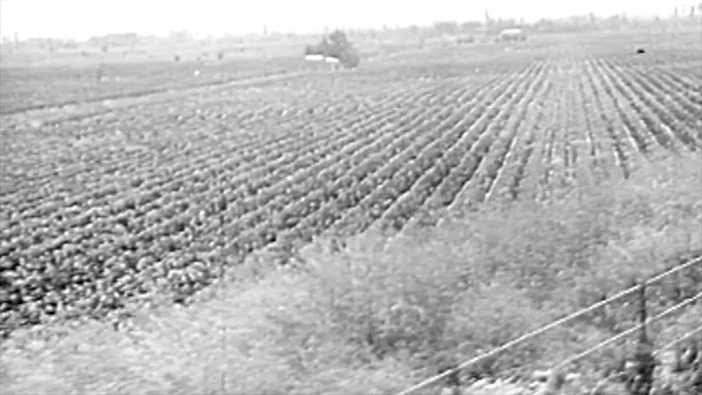 20世纪20年代的酿酒工艺视频素材