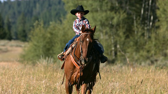 年轻的牛仔骑着马，慢动作视频素材