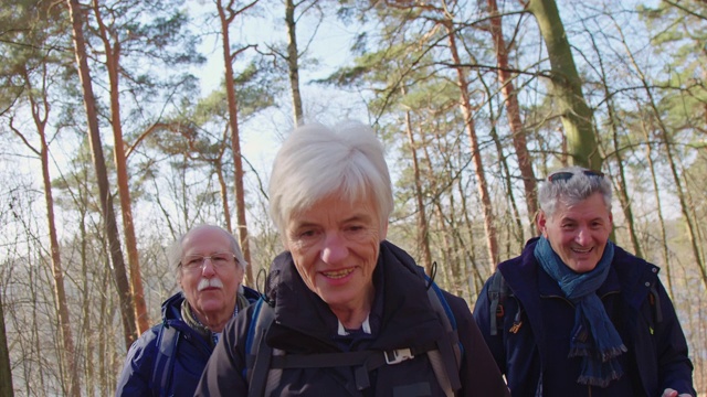 老年徒步旅行者团体在森林中徒步旅行视频下载