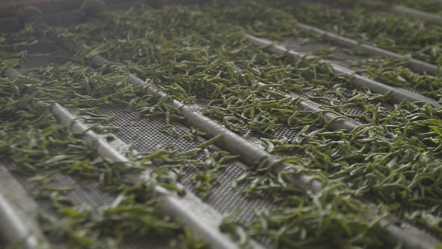 茶叶制作过程视频素材