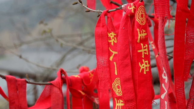 中国汉中，一棵挂着红丝带的树。视频下载