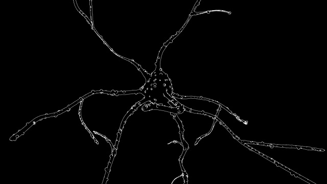 神经元画视频素材