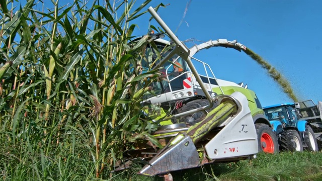 SLO MO玉米收割机在田间作业视频素材