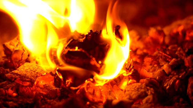 撕下来的日历在火的特写中燃烧得很漂亮视频下载