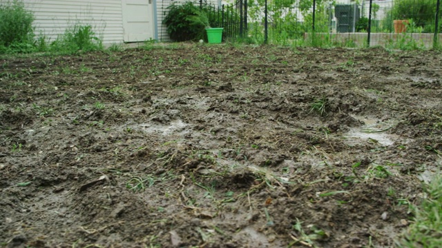 镜头从后院的泥泞区移动到住宅区后院的新铺草皮区视频下载