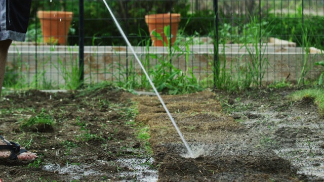 一个三十多岁穿着休闲服装的白人男子在自家后院铺设草皮时，用一个连着软管的喷雾器给地面浇水视频下载