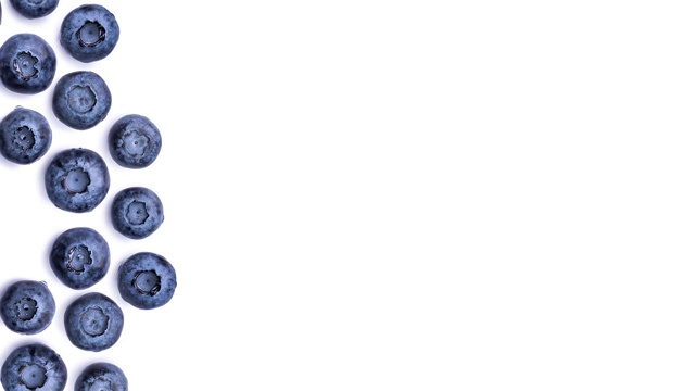 白色背景上的圆框蓝莓视频素材