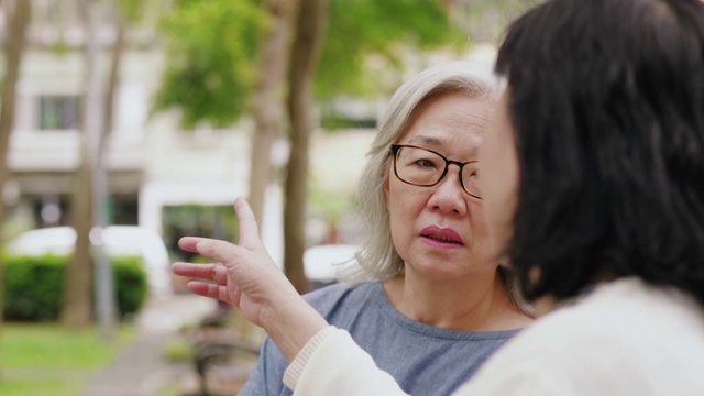 两个年长的女人在一个公园里聊天视频素材