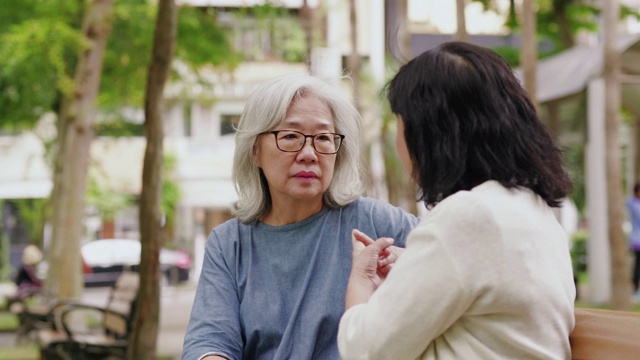 两个年长的女人在一个公园里聊天视频素材