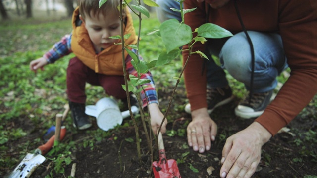 家庭在春天植树节植树视频下载