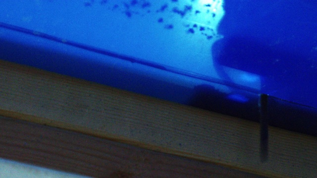 室内工作室里，一块拼图锯正在切割一块透明的蓝色有机玻璃视频下载