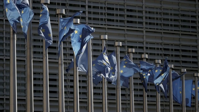 欧盟旗帜在风中飘扬视频素材