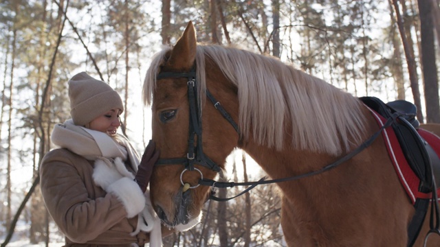 在冬日公园里，快乐的女人爱抚着马视频下载