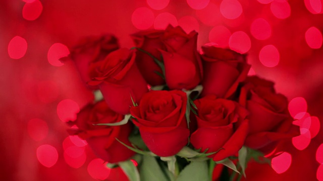 情人节的玫瑰，选择性的聚焦视频素材